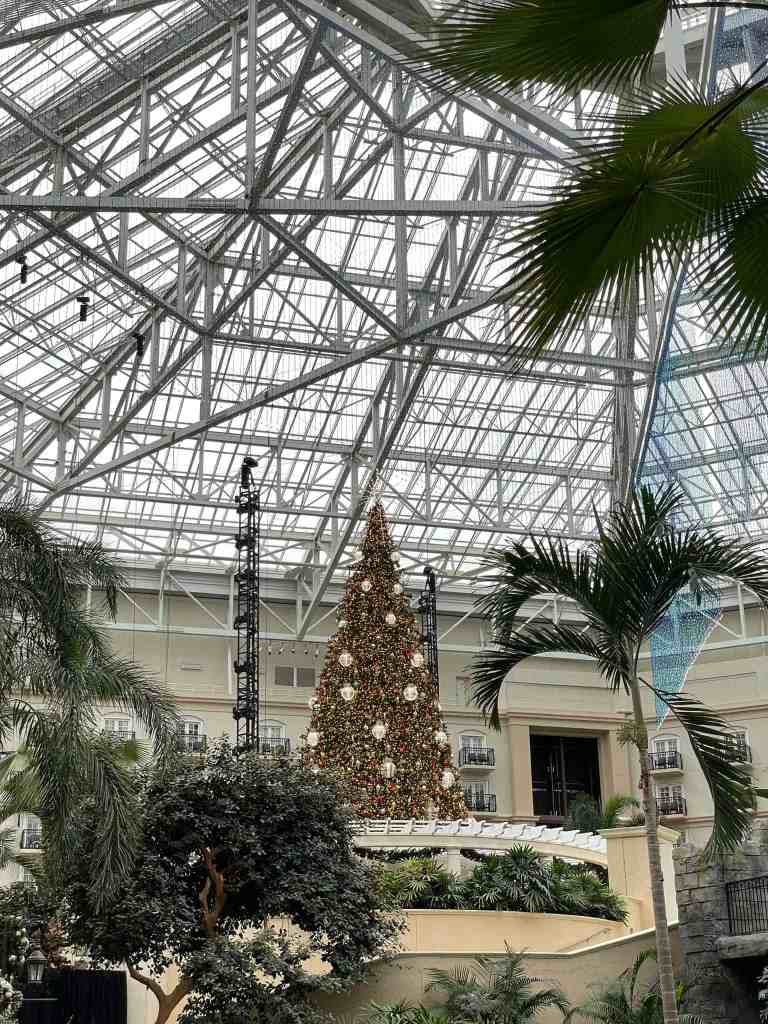 Devine Fairytale Gaylord Palms Christmas Atrium Christmas Tree