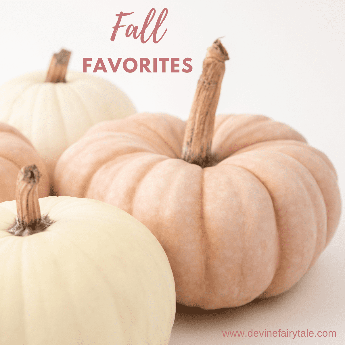 Light color pumpkins for fall favorites