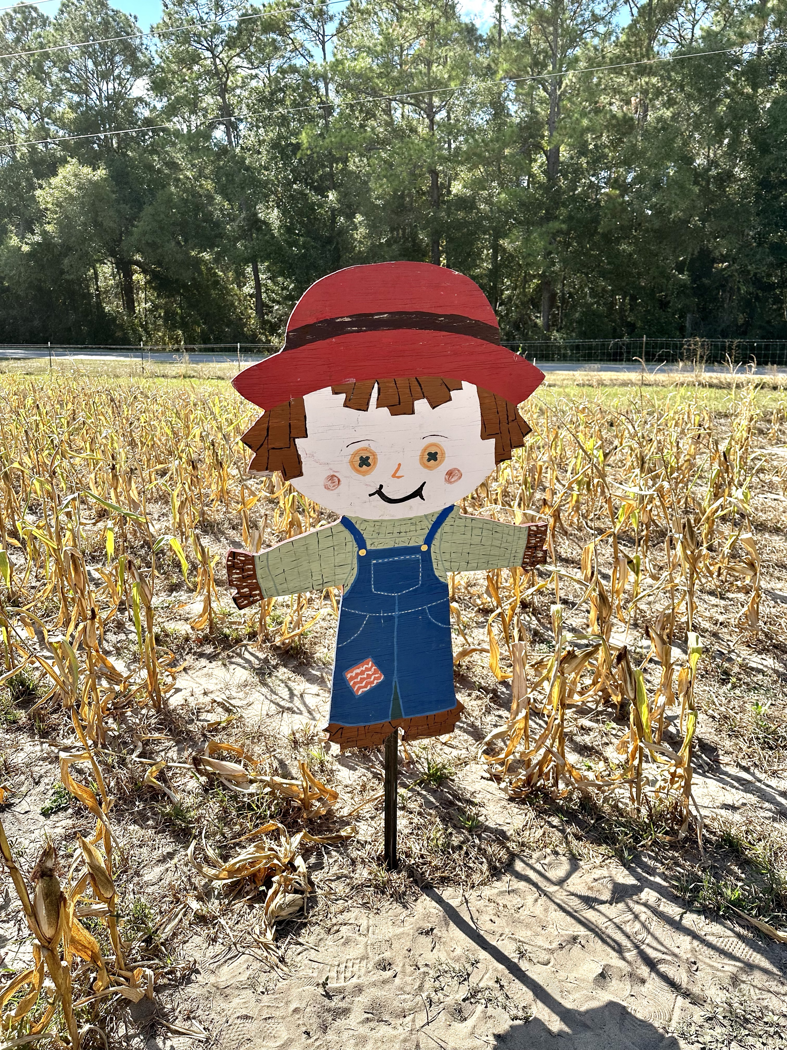scarecrow in corn maze in monticello
