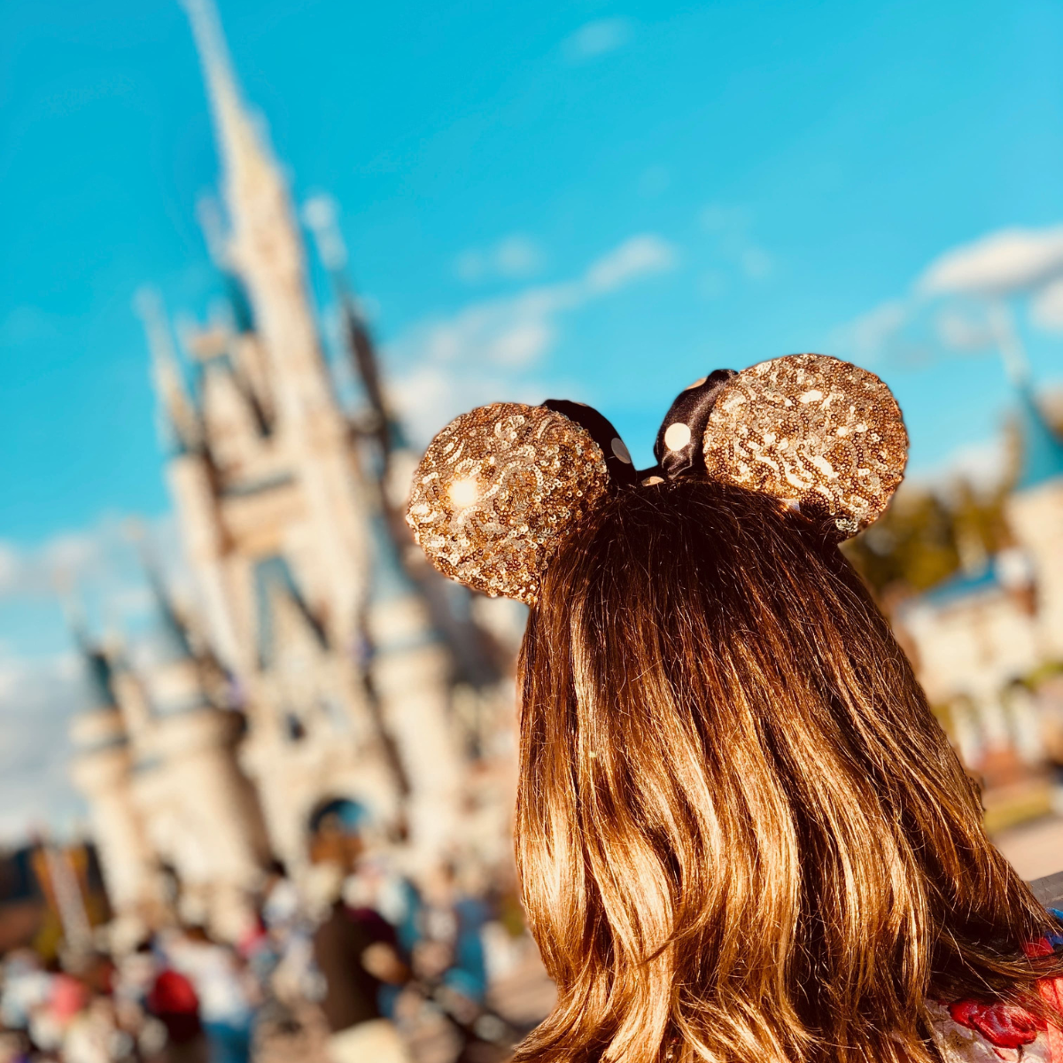 8 Mistakes to Avoid on Your First Disney Trip