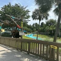 Unleash Your Wild Side at Wild Adventures in Valdosta, Georgia