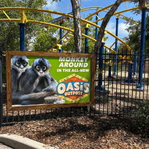Unleash Your Wild Side at Wild Adventures in Valdosta, Georgia