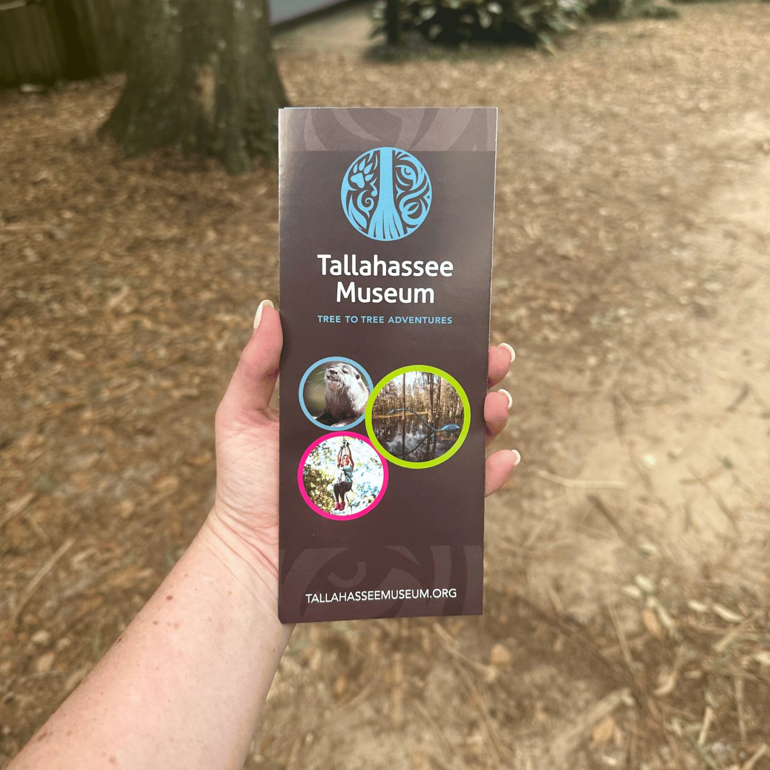 Map of the Tallahassee Museum grounds