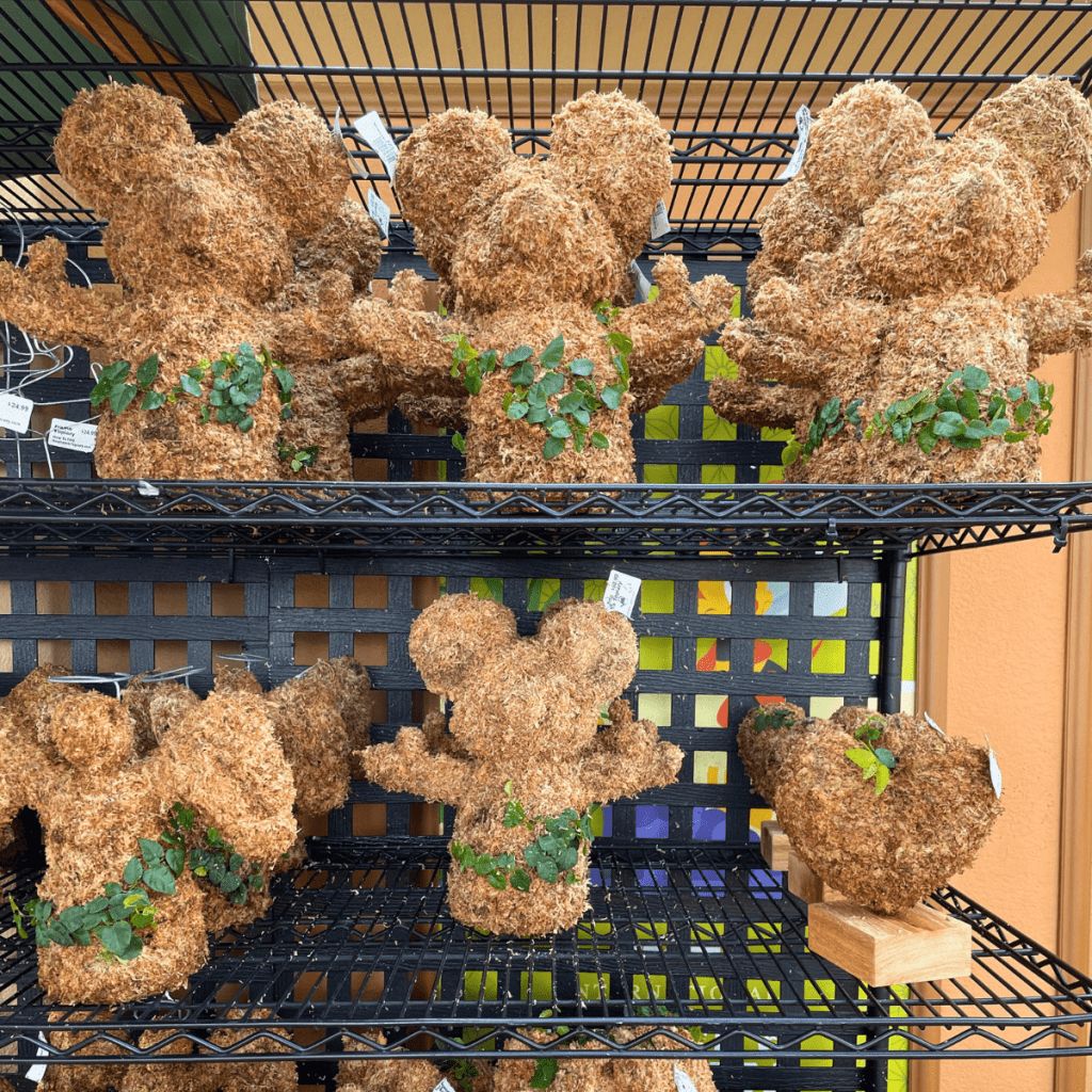 Epcot Flower and Garden Festival Guide