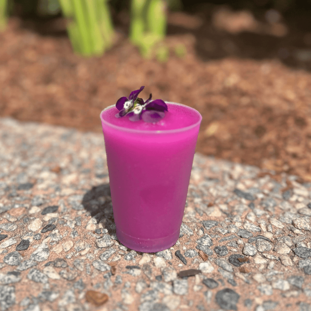 Epcot Flower and Garden Festival Guide