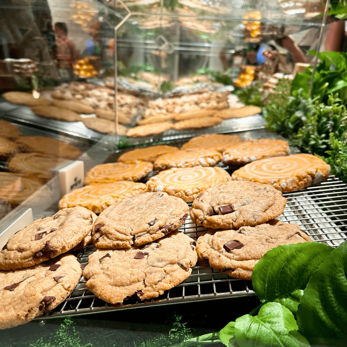 Cookie Bar Summer House on the Lake Disney Springs