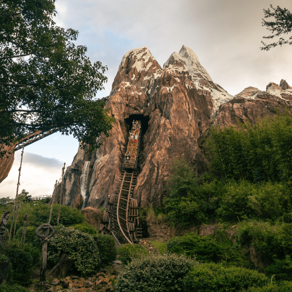 Disney World Height Requirements Expedition Everest Animal Kingdom