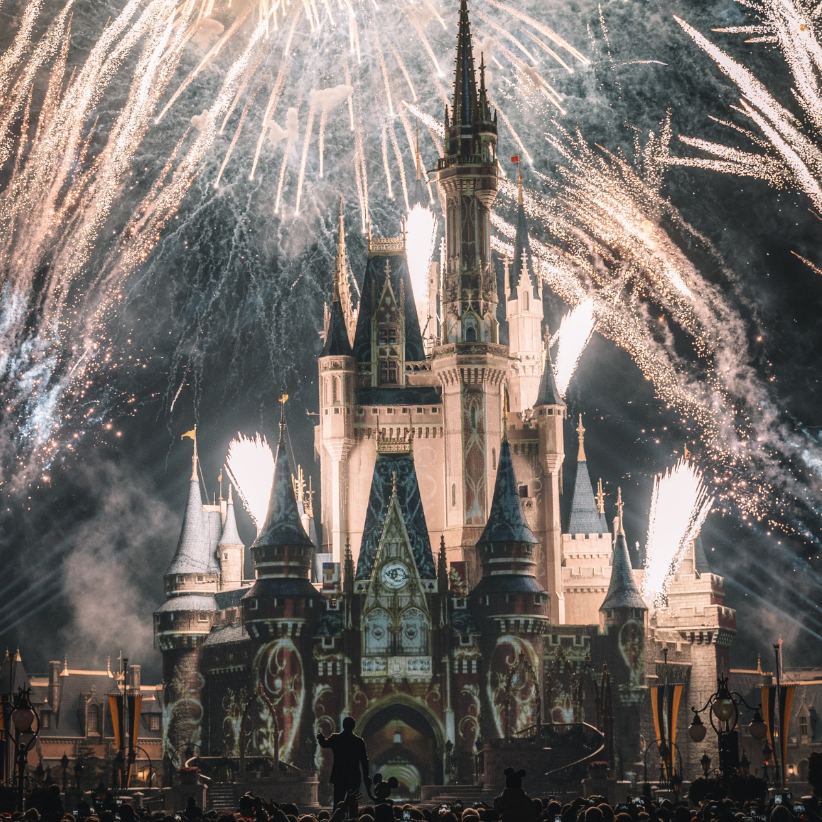 Disney Visa Credit Card Benefits
