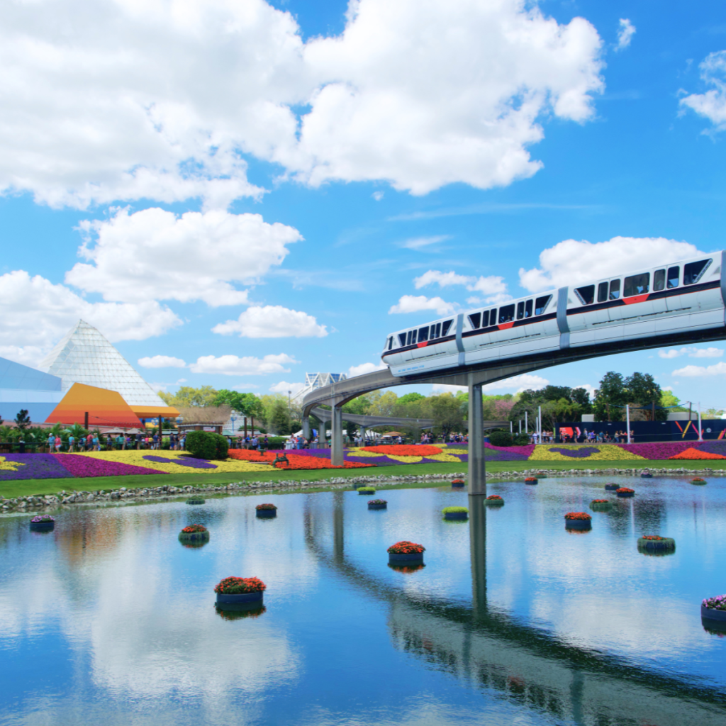 Disney World Transportation
