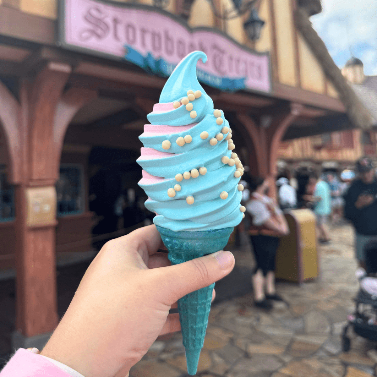 Magic Kingdom Dining 