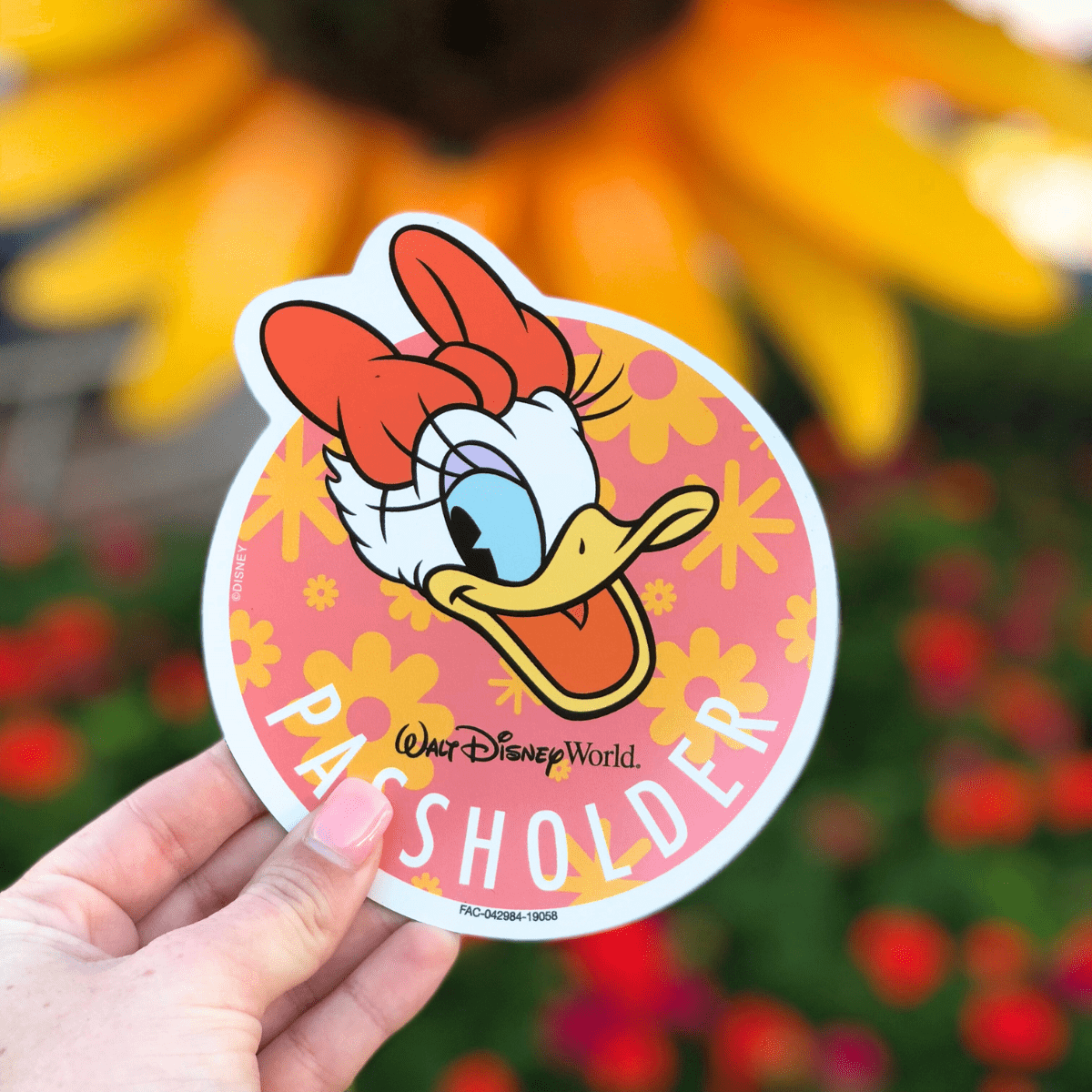 Disney Bucket List Annual Passholder