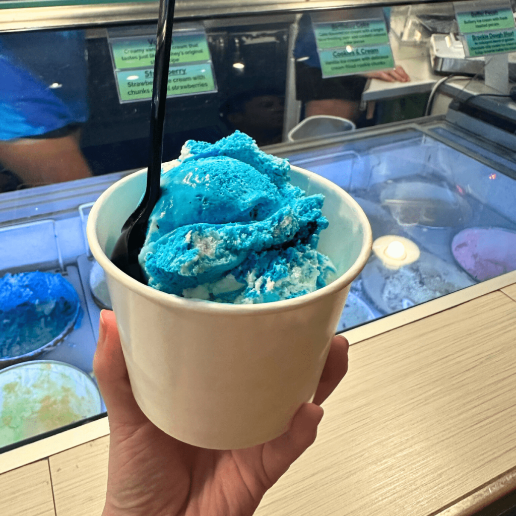 Best Places to Eat in Amelia Island Island Time Ice Cream