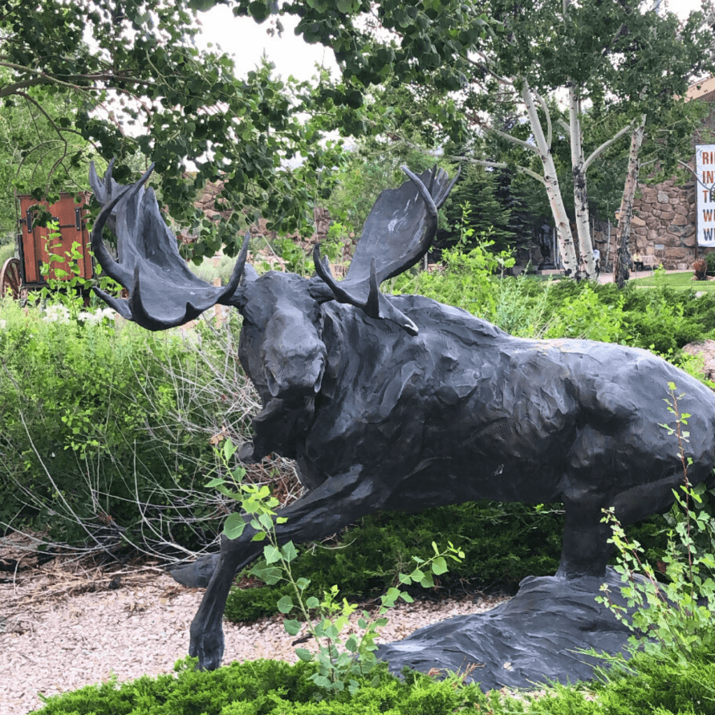 Things to do in Cody, Wyoming