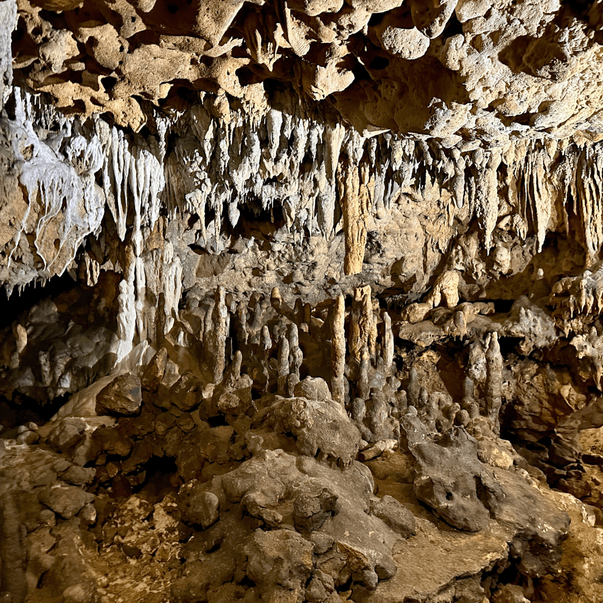 Florida Caverns in Marianna