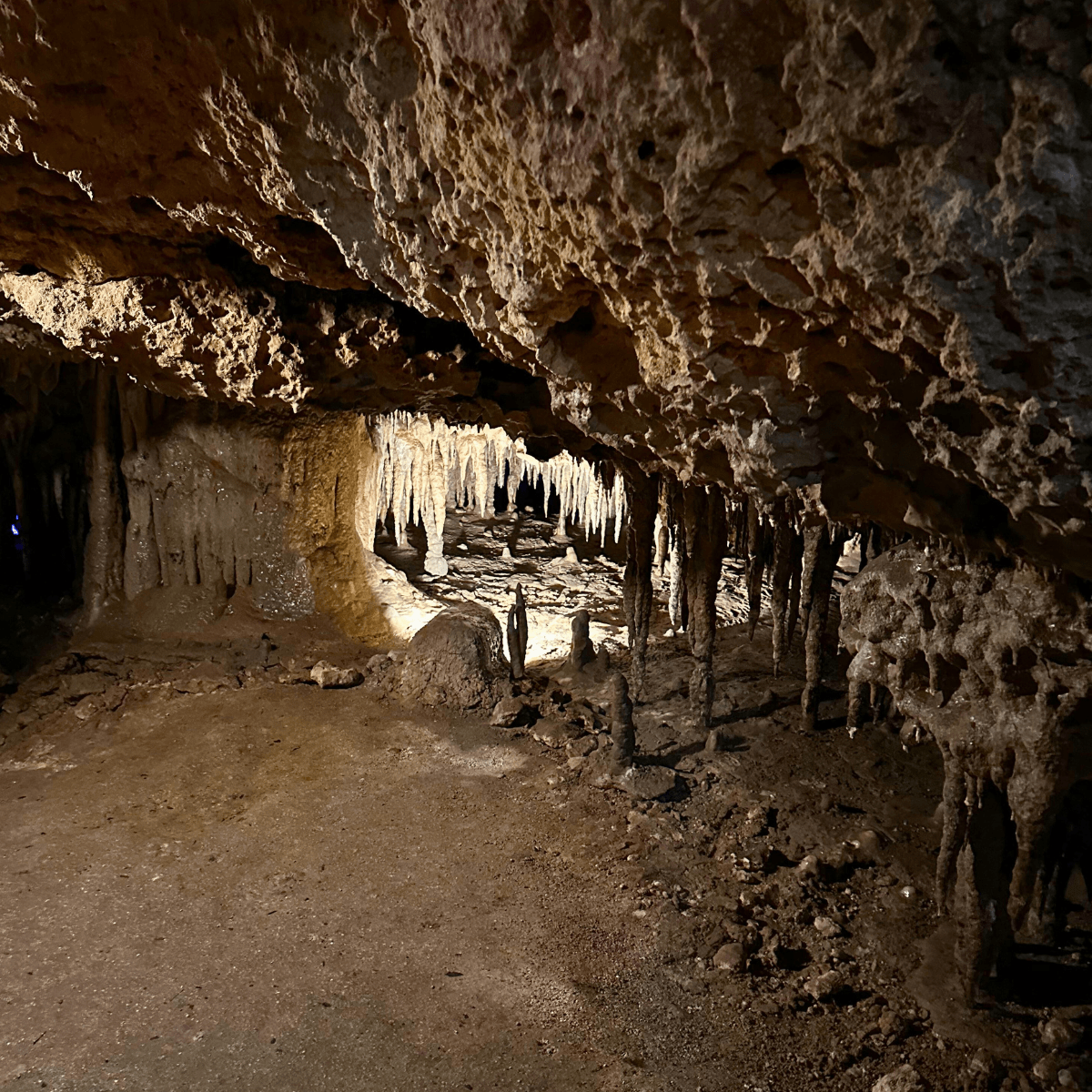 Florida Caverns in Marianna