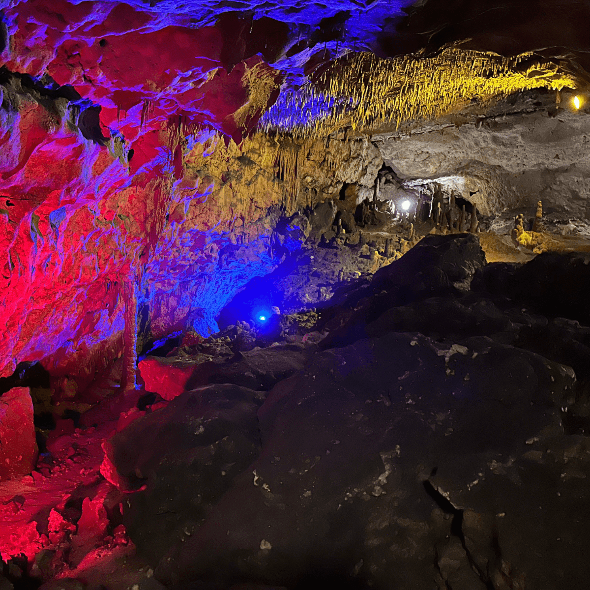 Florida Caverns in Marianna