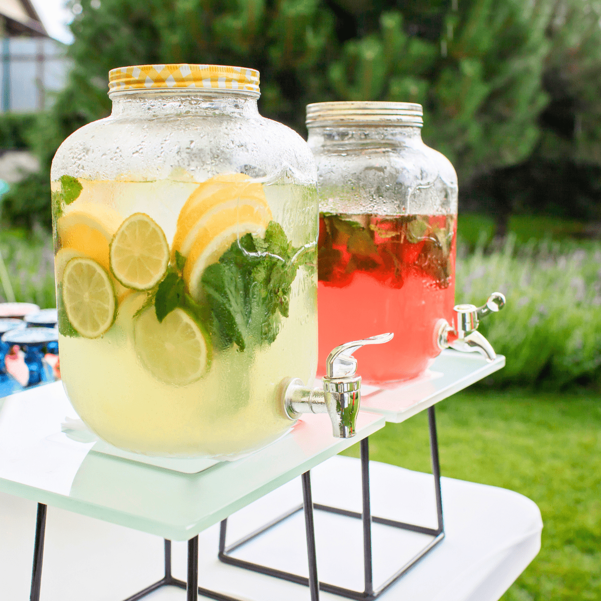 Outdoor Entertaining Ideas 