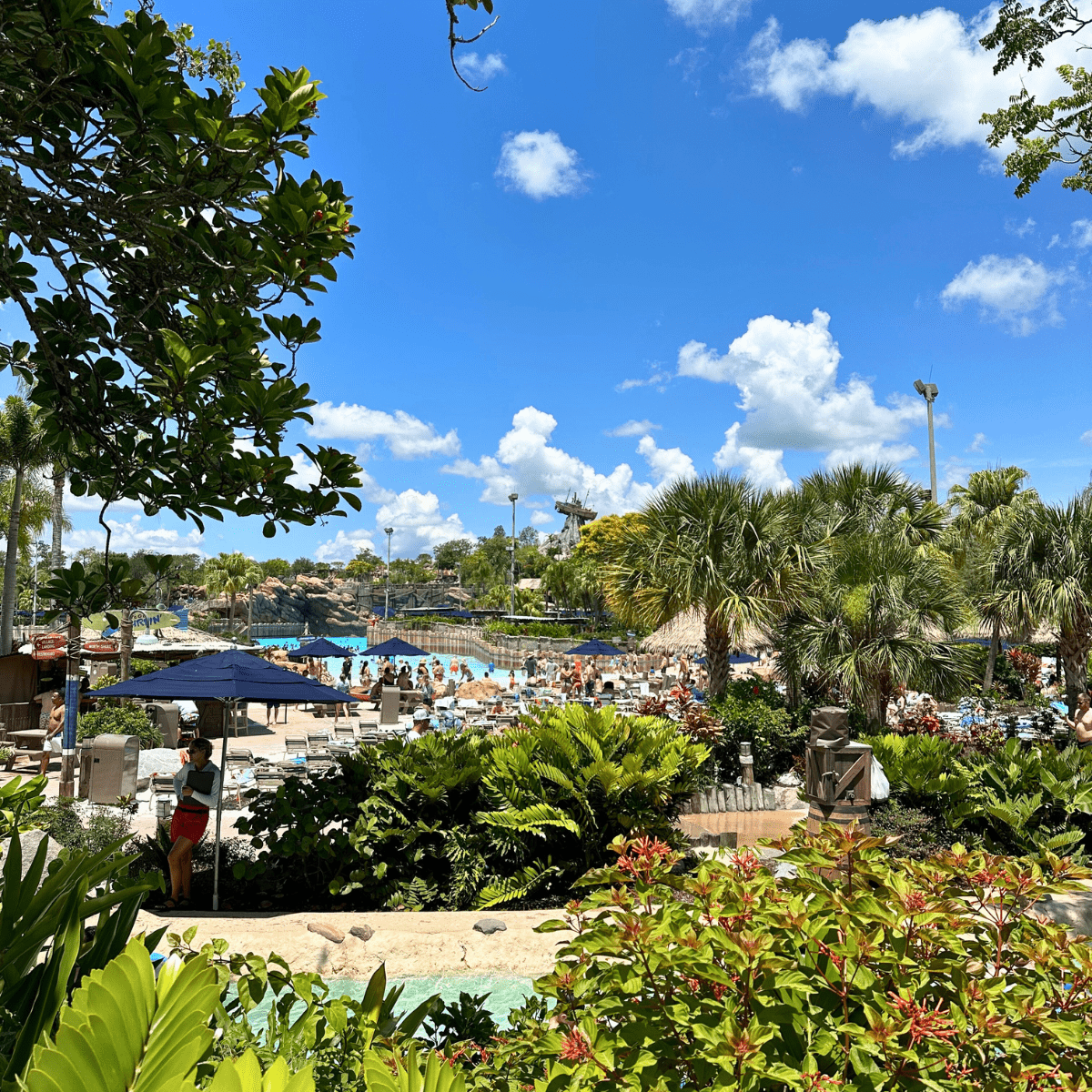 Water Park Essentials Disney Water Parks Typhoon Lagoon