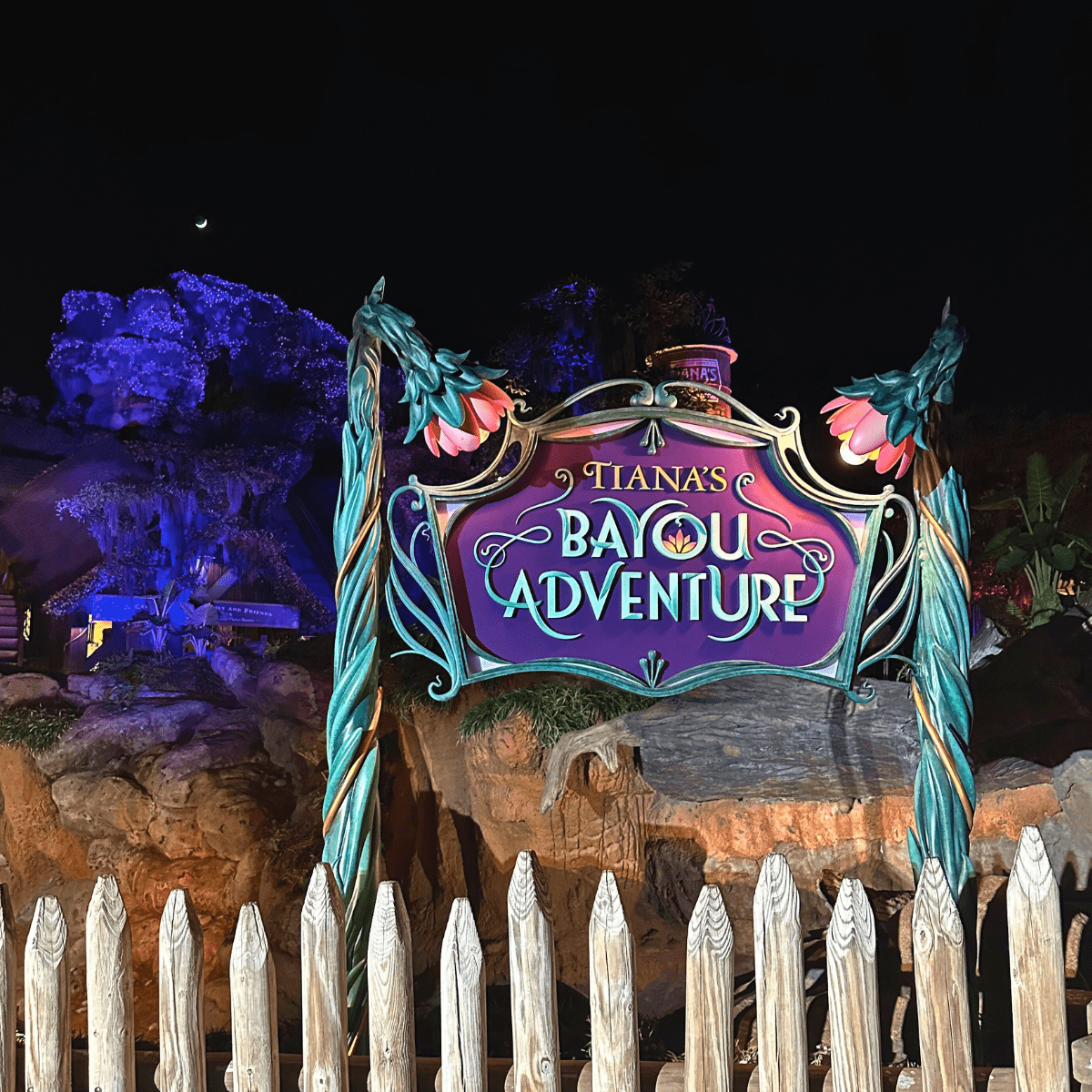 Water Rides at Disney World Tiana's Bayou Adventure