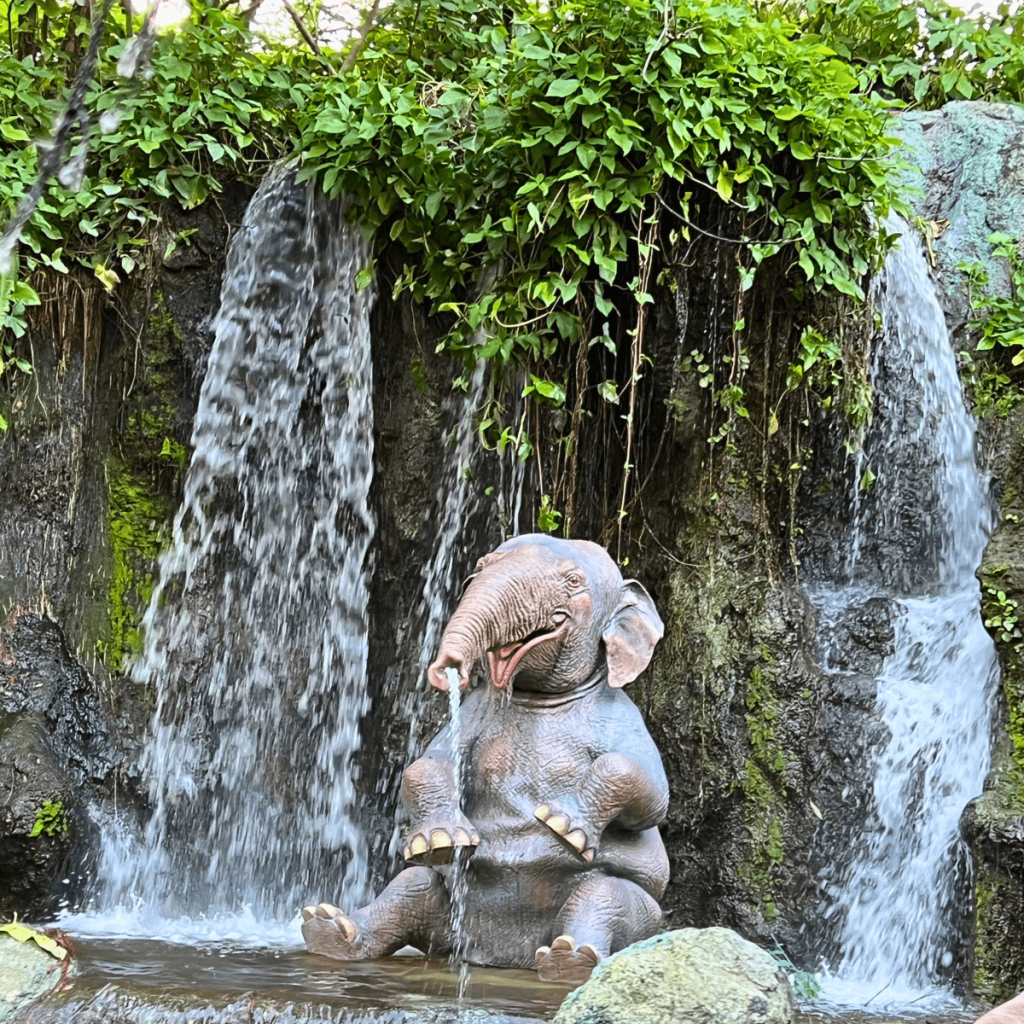 Water Rides at Disney World Jungle Cruise