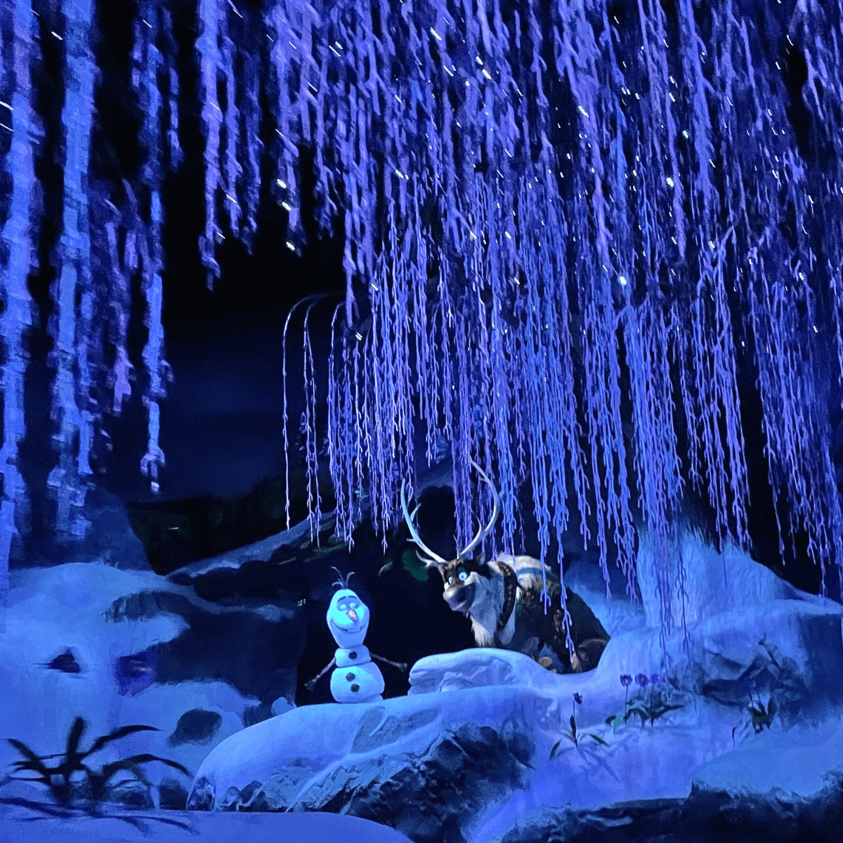 Water Rides at Disney World Frozen Ever After