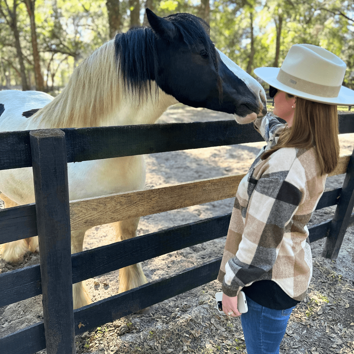 Gypsy Gold Horse Farm