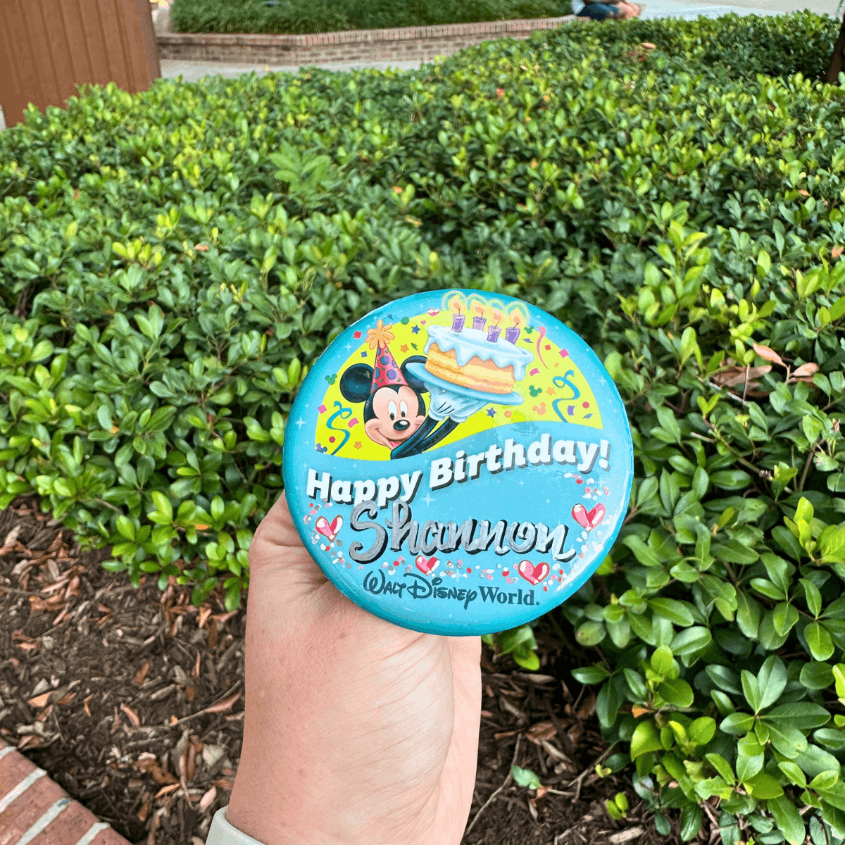 Unique Disney souvenirs