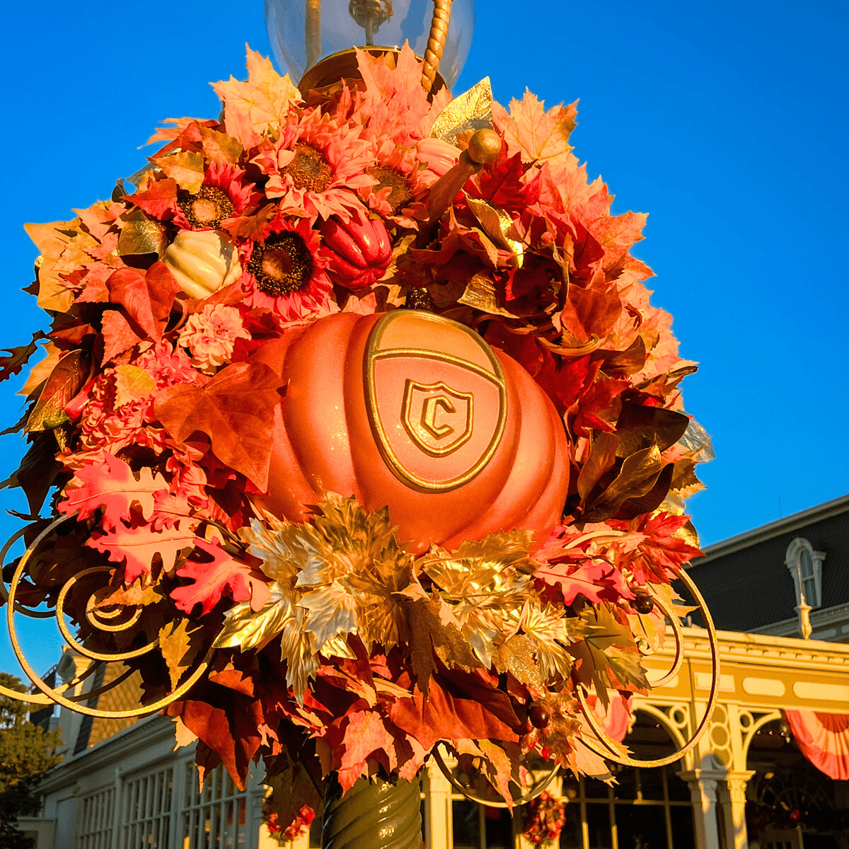 Costume Ideas for Mickey's Not So Scary Halloween Party