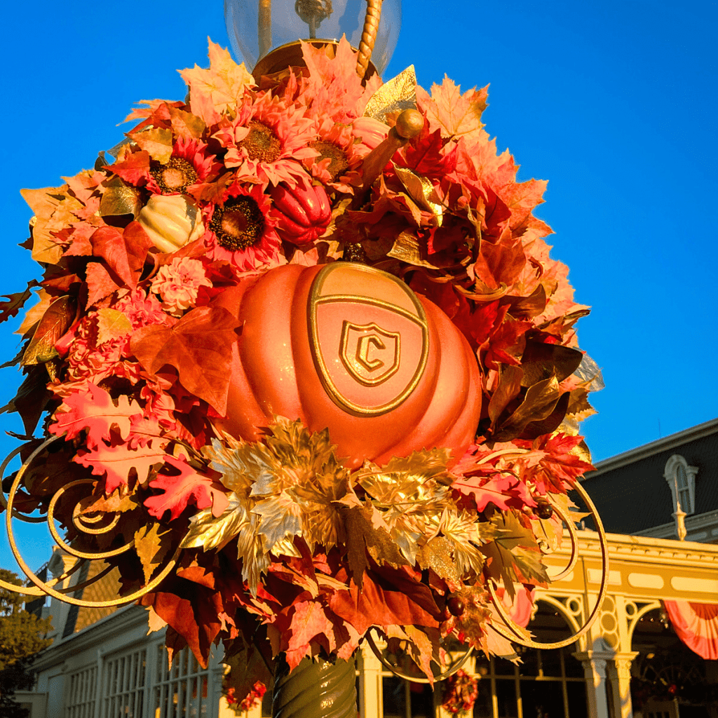 Costume Ideas for Mickey's Not So Scary Halloween Party 