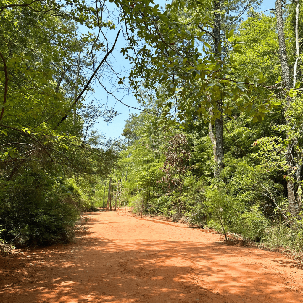 Providence Canyon State Park