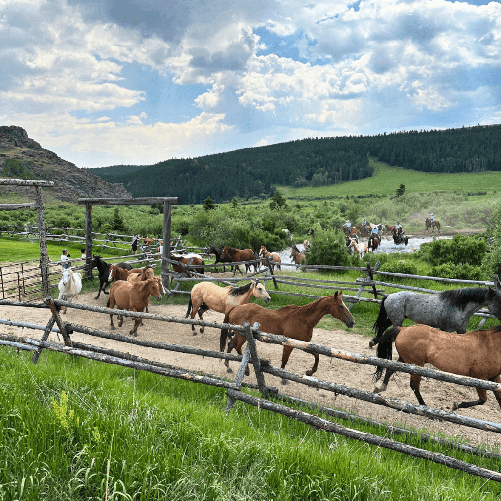 Paradise Guest Ranch