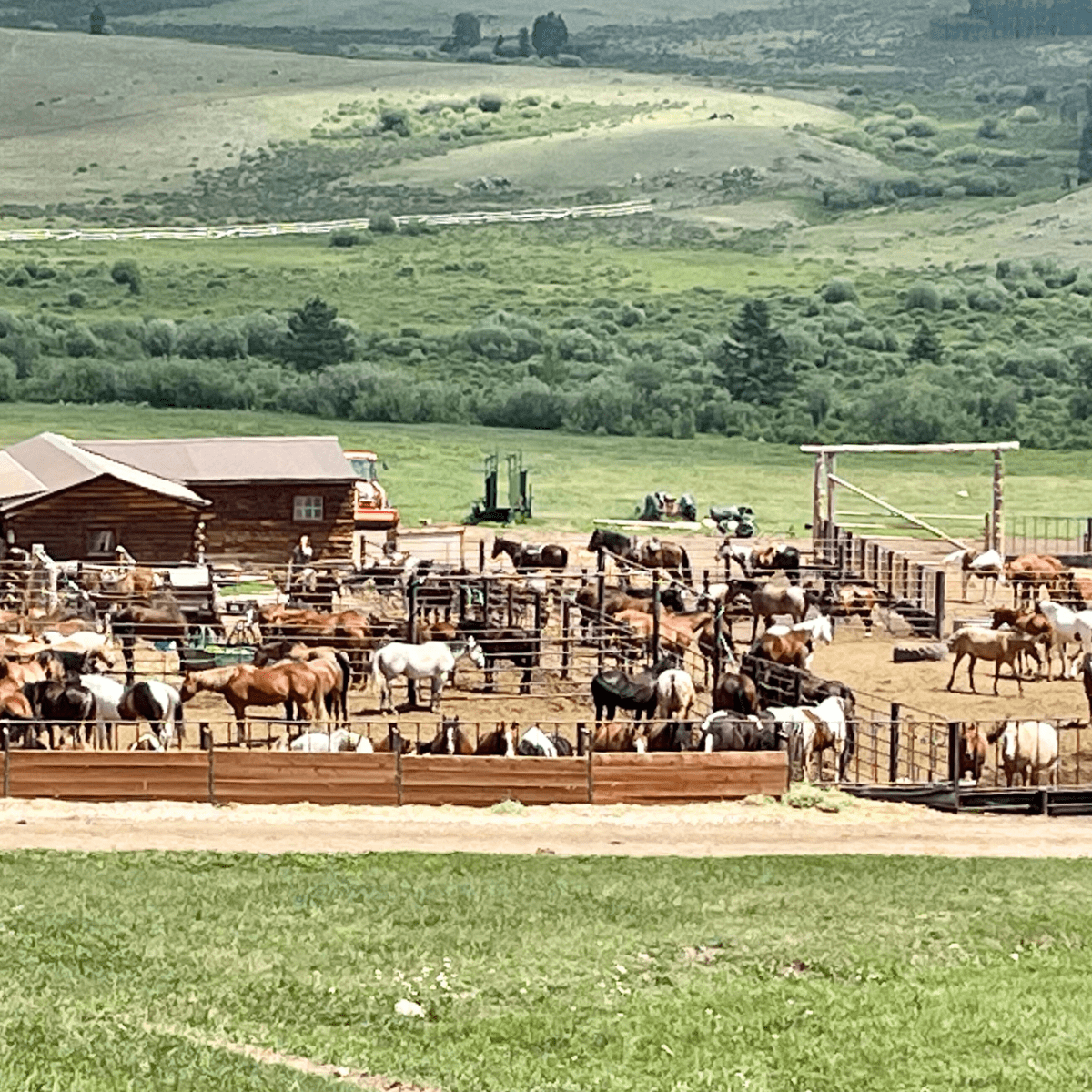 Paradise Guest Ranch