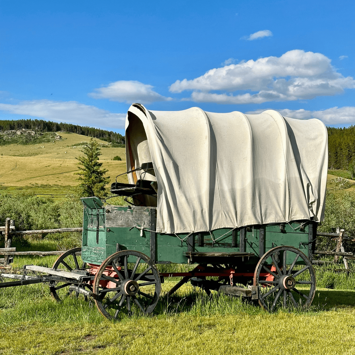 Paradise Guest Ranch