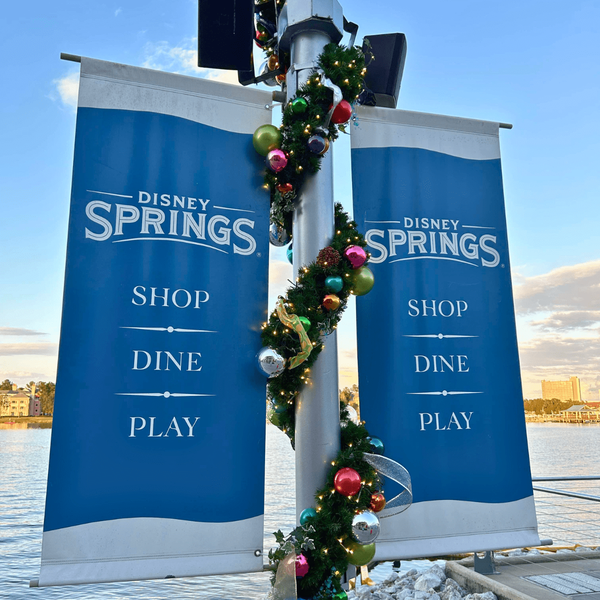 Disney Springs Christmas Tree Stroll