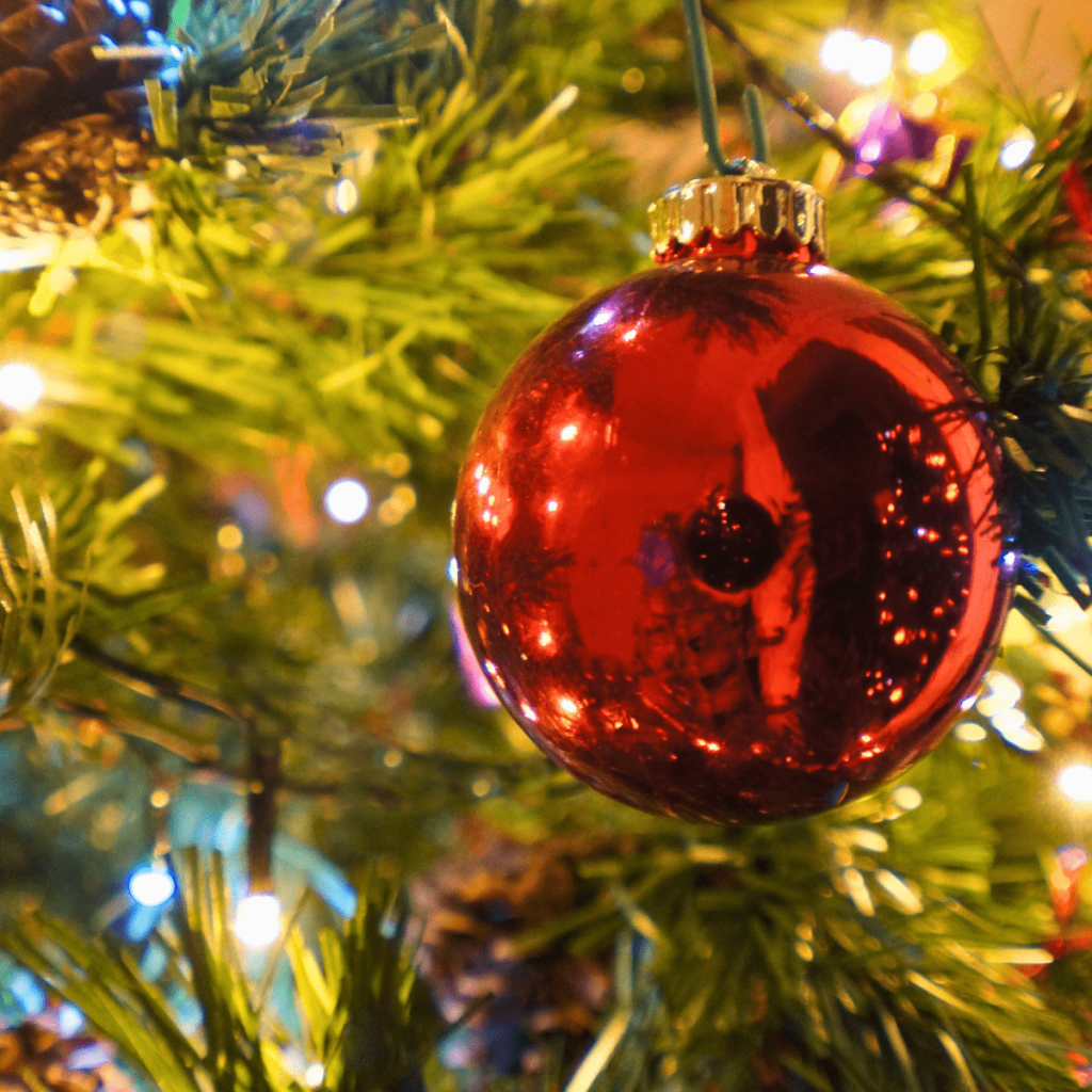 Christmas Decor Storage 