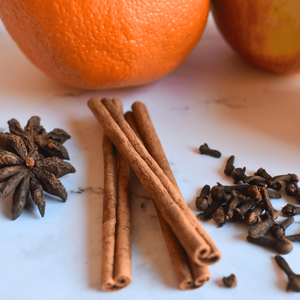 Christmas Simmer Pot 