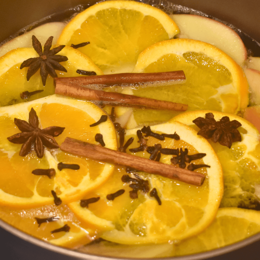 Christmas Simmer Pot 