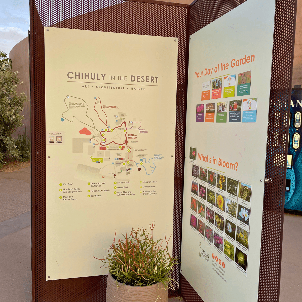 Desert Botanical Garden