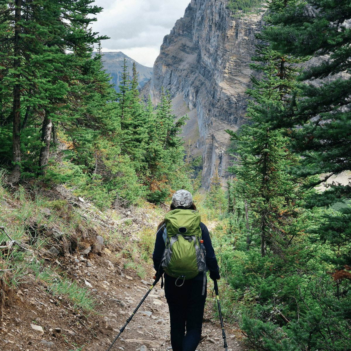 National Parks Vacation