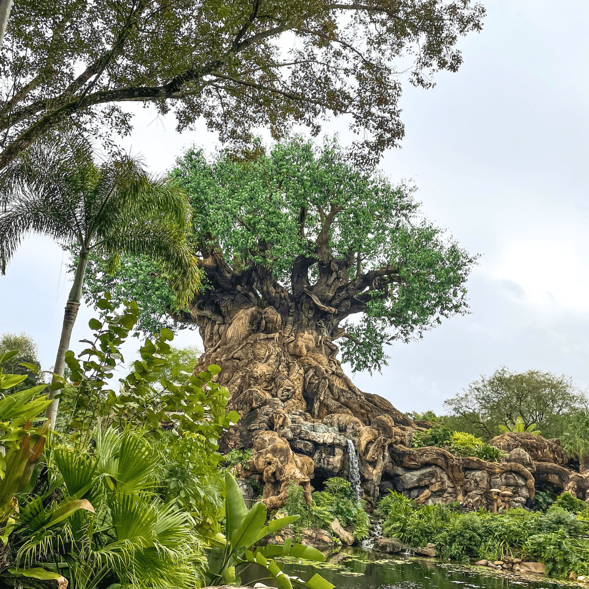 Walt Disney World 2025