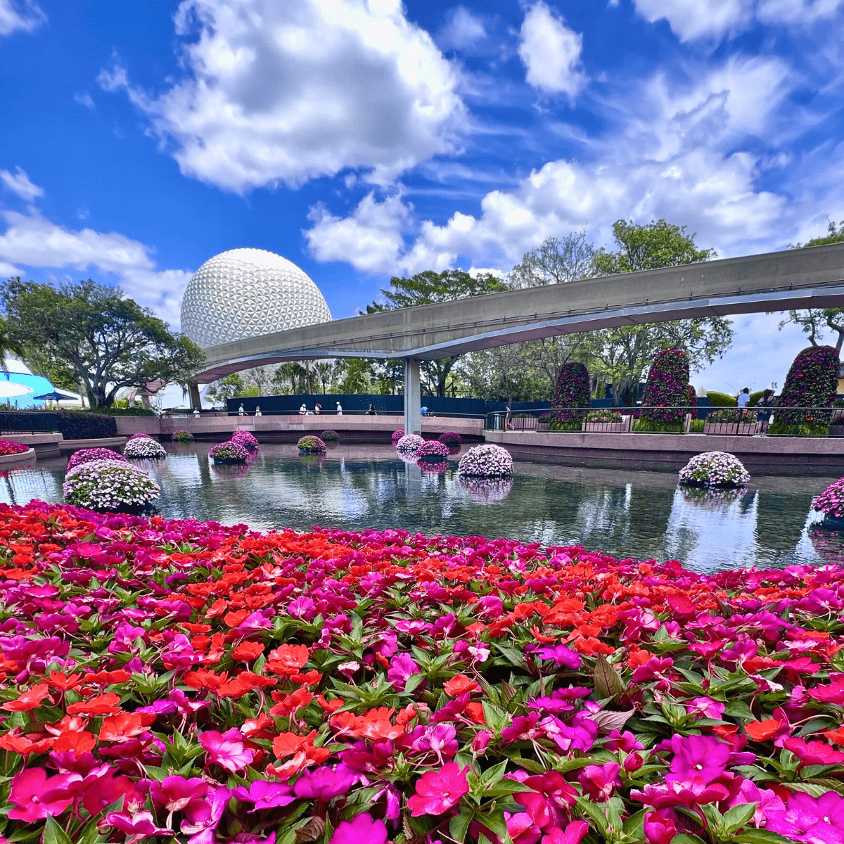Comparing Epcot Festivals 