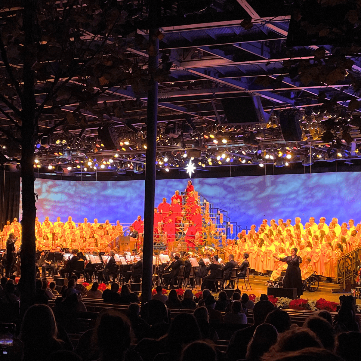 Comparing Epcot Festivals 