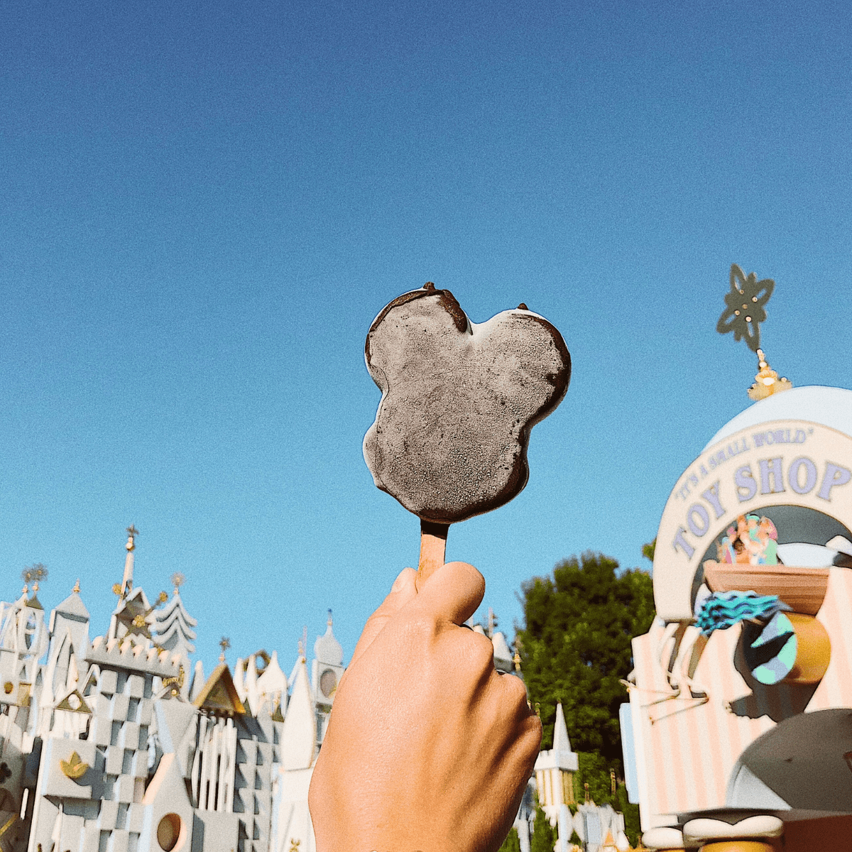 Disneyland 70th Anniversary 