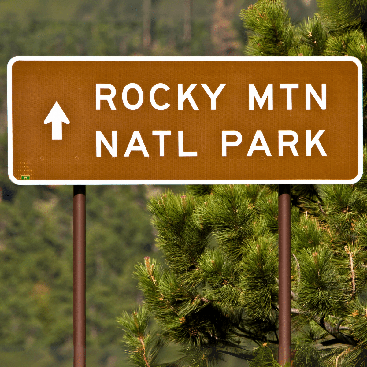 National Parks Vacation 