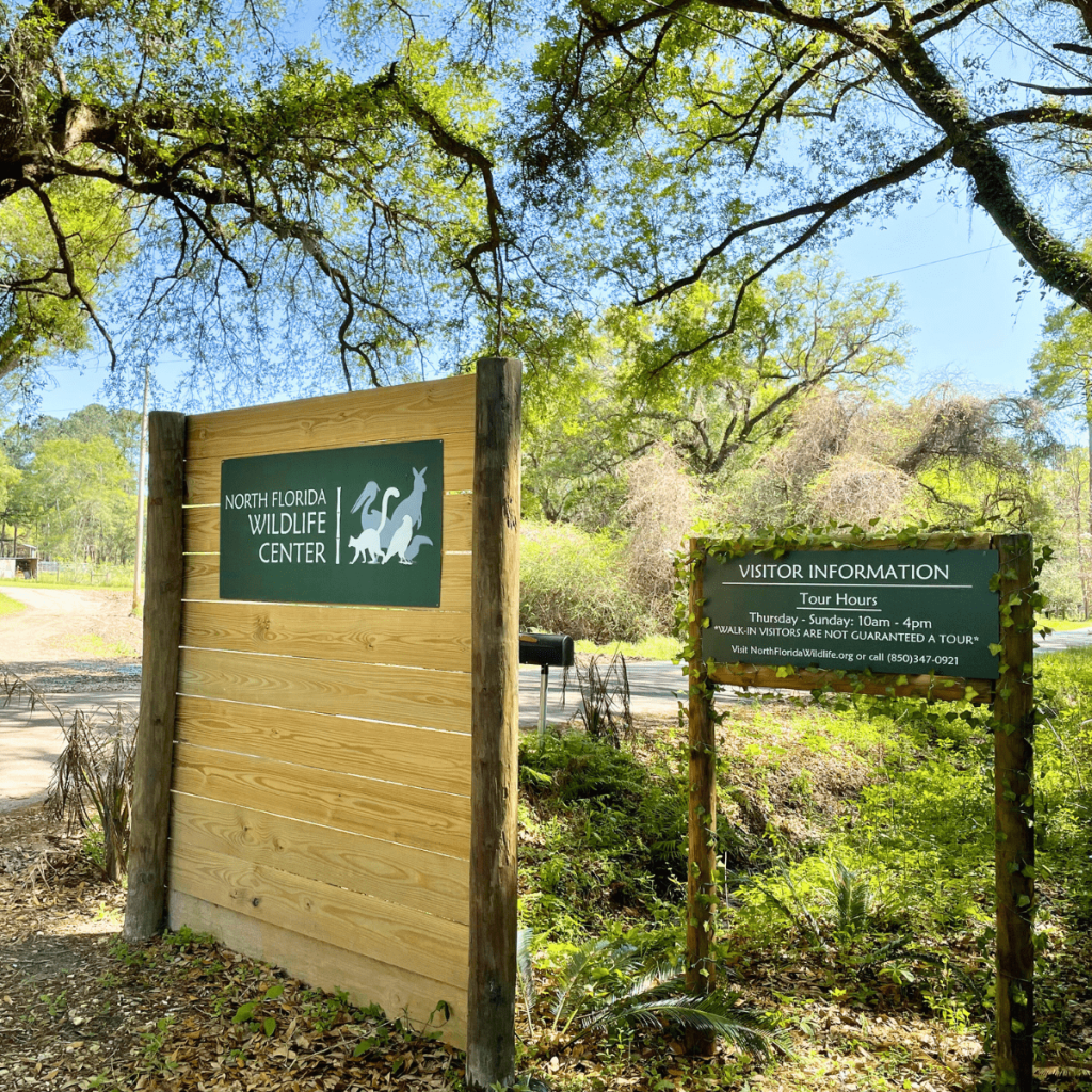 North Florida Wildlife Center