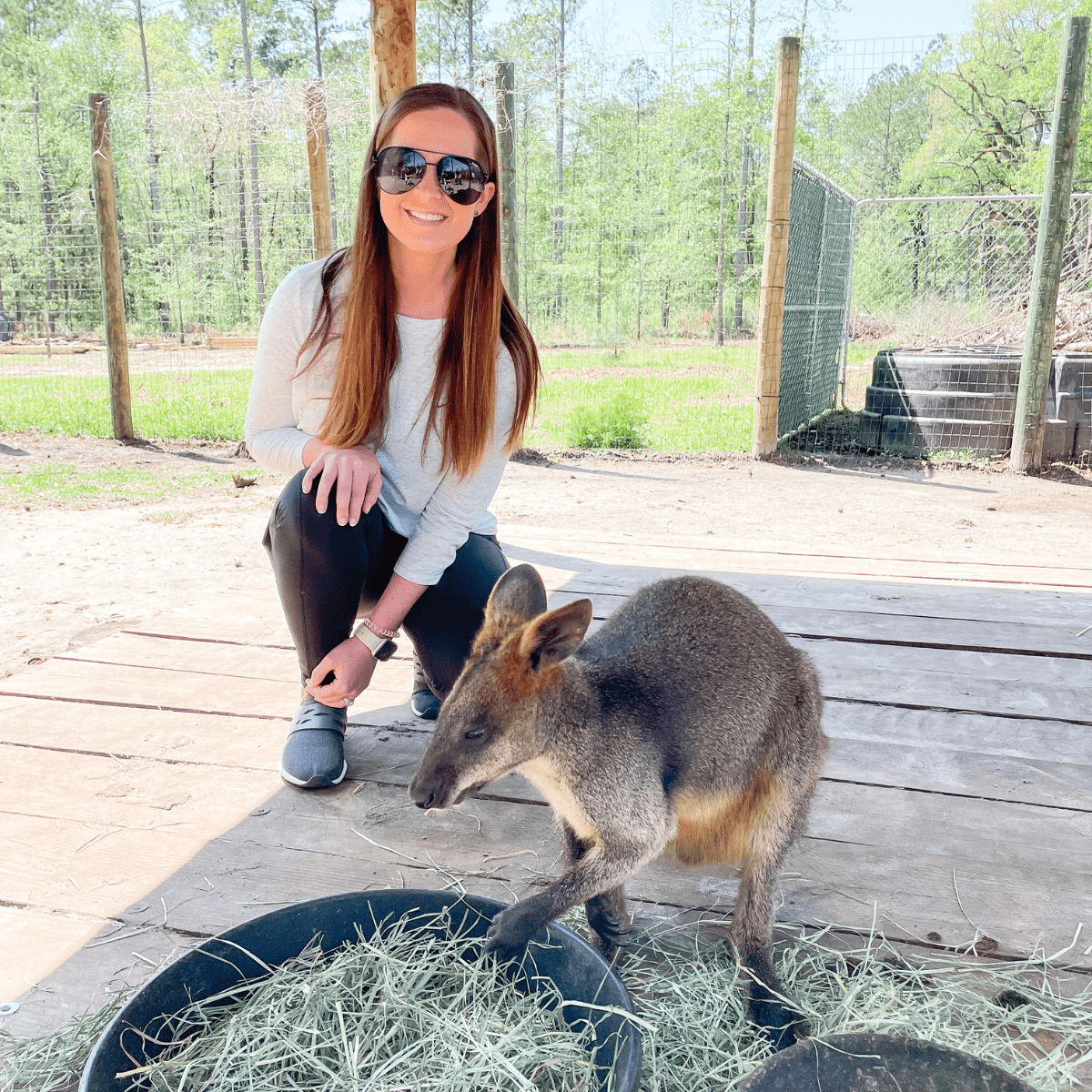 North Florida Wildlife Center