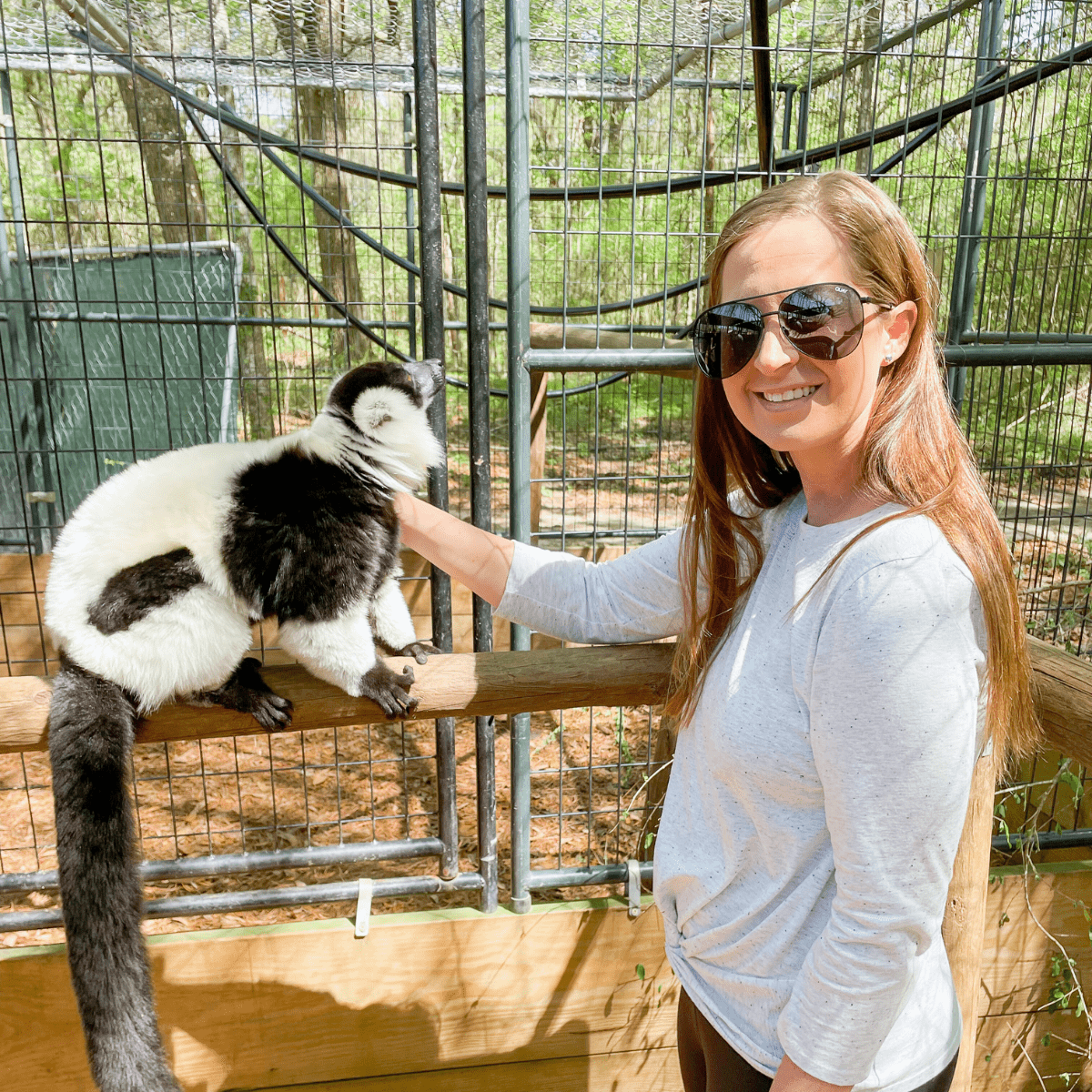 North Florida Wildlife Center