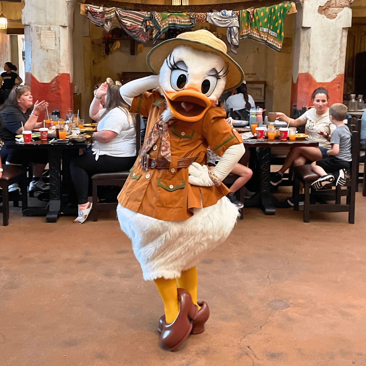 Animal Kingdom restaurants Tusker House character dining with Daisy Duck