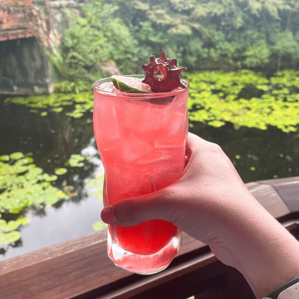 Animal Kingdom restaurants Nomad Lounge drink