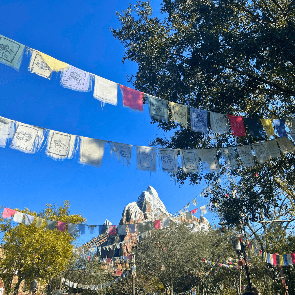 Animal Kingdom Everest